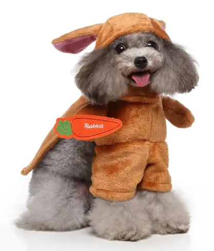 Pet Products Clothing